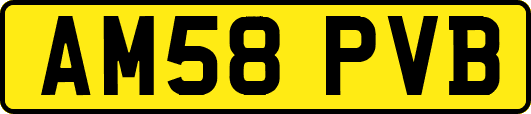 AM58PVB