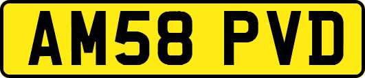 AM58PVD