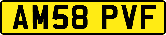 AM58PVF
