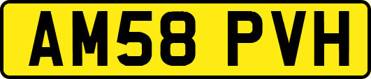 AM58PVH