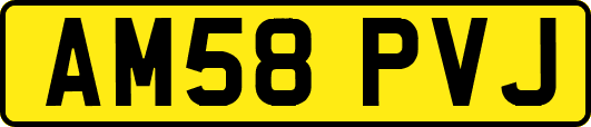 AM58PVJ