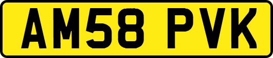 AM58PVK