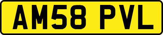 AM58PVL