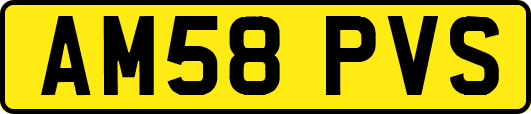 AM58PVS