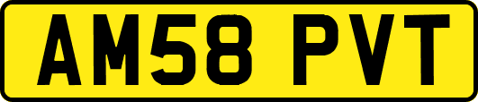 AM58PVT