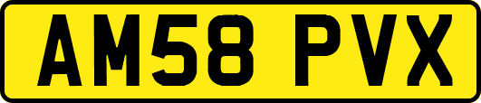 AM58PVX