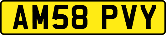 AM58PVY