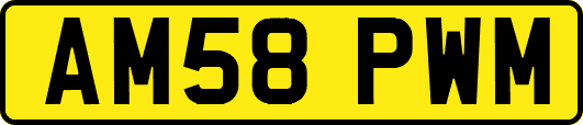AM58PWM