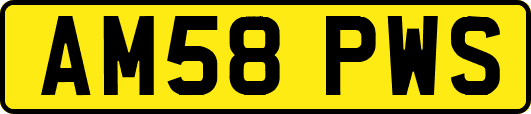 AM58PWS