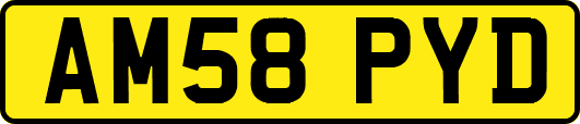 AM58PYD