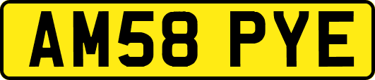 AM58PYE