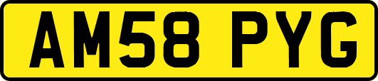 AM58PYG