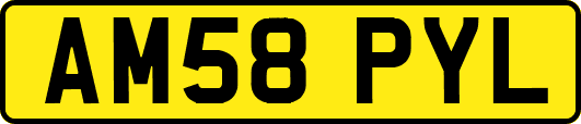 AM58PYL