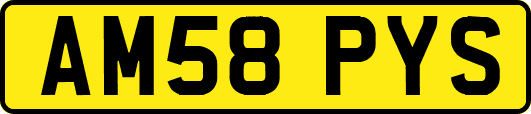 AM58PYS