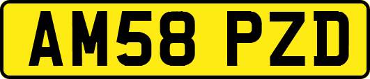 AM58PZD