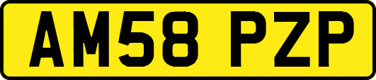 AM58PZP