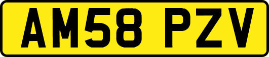 AM58PZV