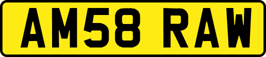 AM58RAW