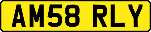 AM58RLY