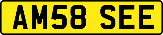 AM58SEE