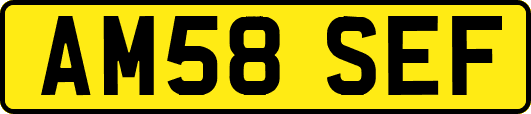 AM58SEF