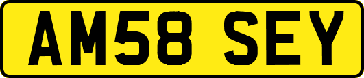 AM58SEY