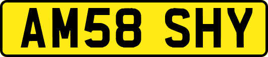 AM58SHY