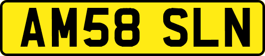 AM58SLN