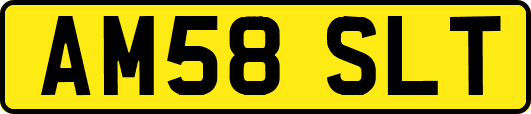 AM58SLT
