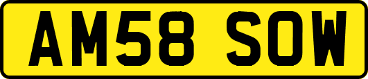AM58SOW