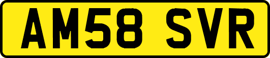 AM58SVR