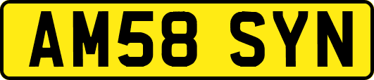 AM58SYN