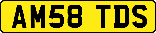 AM58TDS