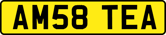 AM58TEA