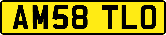 AM58TLO