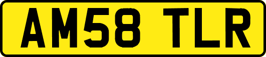 AM58TLR