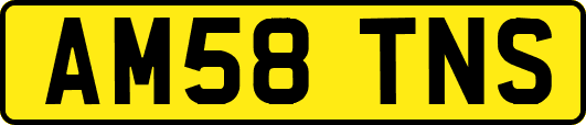 AM58TNS