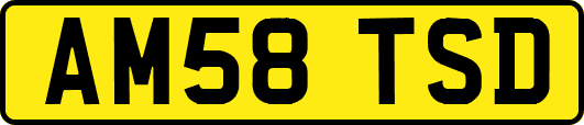 AM58TSD
