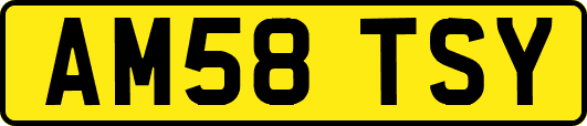 AM58TSY