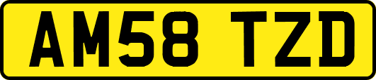 AM58TZD