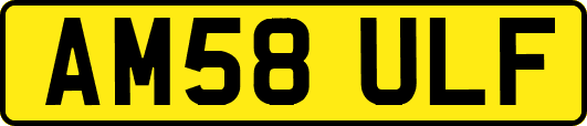 AM58ULF