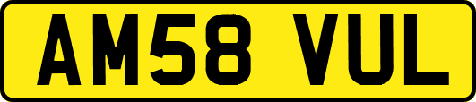 AM58VUL