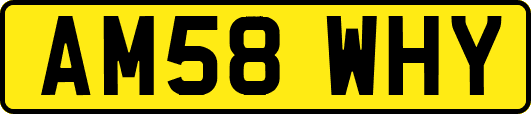 AM58WHY