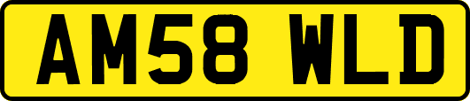 AM58WLD