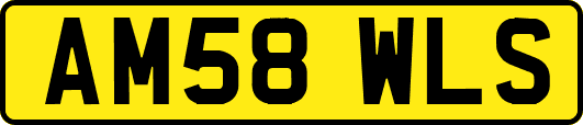 AM58WLS