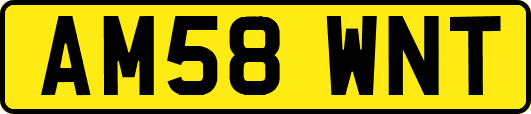 AM58WNT