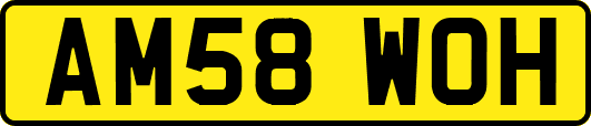 AM58WOH