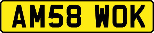 AM58WOK