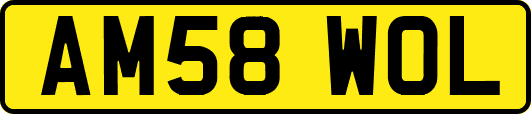 AM58WOL