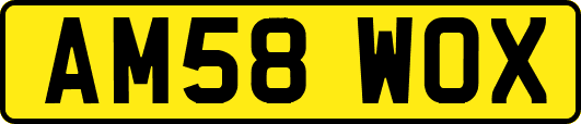 AM58WOX